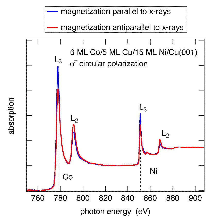 XMCD spectra